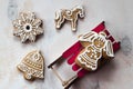 Traditional tasty christmas gingerbread: angel, horse, bell and star on a white background Royalty Free Stock Photo