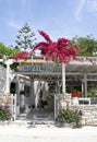 Traditional taverna in Schinoussa village, Greece