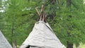 Traditional Tent Made With Long Tree Branches