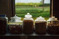 Traditional Thai dried medicinal, natural Herbs Assortment stored in glass jars on shelf next to wooden windows. Oriental Medicine