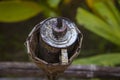 Traditional Thai lanna bamboo light torch commonly used during Loy Kratong day festival