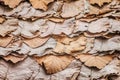 Traditional thai patterns of layer dried leaves roof texture ,nature background Royalty Free Stock Photo