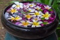 Traditional thailand perfume water mixes with flowers