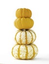 Traditional Thanksgiving mini pumpkins stacked into pyramids. Bright orange and tiger seasonal fall pumpkins