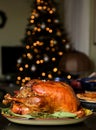 Traditional Thanksgiving turkey Royalty Free Stock Photo