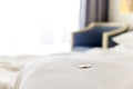 Traditional tips is laying on the corner of bed in hotel room for room cleaner Royalty Free Stock Photo