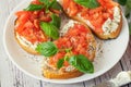 Traditional toasted Italian tomato bruschetta with spice and basil on white plate Royalty Free Stock Photo