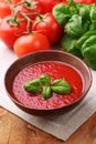 Traditional tomato soup