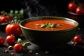 Traditional tomato soup with basil in a bowl on dark background. Commercial promotional food photo