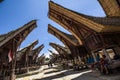 Traditional Tana Toraja village