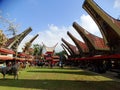 Traditional Toraja funeral ceremony, Rantepao, Celebes, Indonesia