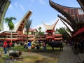 Traditional Toraja funeral ceremony, Rantepao, Celebes, Indonesia