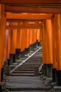 Traditional Torii Gates in Kyoto