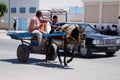 Traditional Transport by Donkey and Cart in El Jem, Tunisia