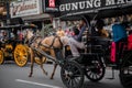 Traditional transport in Maliboro, Yogyakarta