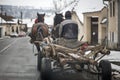 Traditional transylvanian horses are walking through Romanian village,