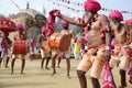Traditional tribal folk dance and music being performed at Bhimthadi festival, Pune, India Royalty Free Stock Photo