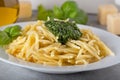 Traditional trofie pasta with pesto sauce on white plate Royalty Free Stock Photo