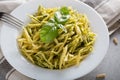 Traditional trofie pasta with pesto sauce on white plate Royalty Free Stock Photo