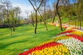 Traditional Tulip Festival in Emirgan Park in Istanbul,Turkey