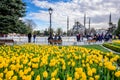 Traditional tulip Festival in Sultanahmet Square Park