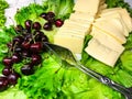 Traditional turkish cheeses for breakfast Royalty Free Stock Photo