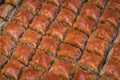 Traditional Turkish dessert, fresh walnut baklava at a shop in Istanbul, Turkey Royalty Free Stock Photo