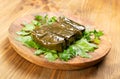 Traditional Turkish Dolma, Sarma or Dolmades Closeup Royalty Free Stock Photo