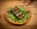 Traditional Turkish Dolma, Sarma or Dolmades Closeup Royalty Free Stock Photo