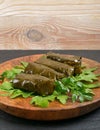 Traditional Turkish Dolma, Sarma or Dolmades Closeup Royalty Free Stock Photo