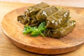 Traditional Turkish Dolma, Sarma or Dolmades Closeup Royalty Free Stock Photo