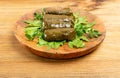 Traditional Turkish Dolma, Sarma or Dolmades Closeup Royalty Free Stock Photo