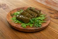 Traditional Turkish Dolma, Sarma or Dolmades Closeup Royalty Free Stock Photo