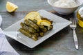 Stuffed grape leaves with rice,olive oil and herbs in white plate Royalty Free Stock Photo