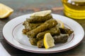 Stuffed grape leaves with rice,olive oil and herbs in white plate Royalty Free Stock Photo