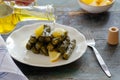 Stuffed grape leaves with rice,olive oil and herbs in white plate Royalty Free Stock Photo