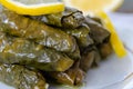 Stuffed grape leaves with rice,olive oil and herbs in white plate Royalty Free Stock Photo