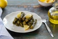 Stuffed grape leaves with rice,olive oil and herbs in white plate Royalty Free Stock Photo