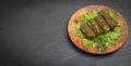 Traditional Turkish Dolma, Sarma or Dolmades Top View Royalty Free Stock Photo