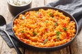 Traditional turkish meyhane pilavi bulgur pilaf with tomato sause close-up on a plate. Horizontal Royalty Free Stock Photo