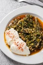 Traditional Turkish spinach meal with rice and minced meat with yogurt on a white porcelain plate Royalty Free Stock Photo