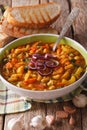 Traditional Tuscan ribollita vegetable soup close up in a bowl. Royalty Free Stock Photo