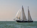 Traditional two-masted clipper sailing on IJsselmeer lake, Netherlands