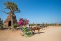 Traditional two-wheeled horse cart in Bagan