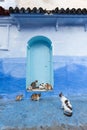 Traditional and typical moroccan architectural details in Chefchaouen, Morocco Africa Narrow and beautiful street of blue medina. Royalty Free Stock Photo