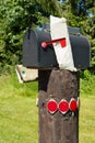 Traditional U.S. mail box with a newspaper in a rural area near Seattle