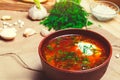 Traditional Ukrainian borsch, red beet soup, borshch with beet, Ukrainian and russian national food Royalty Free Stock Photo