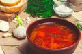 Traditional Ukrainian borsch, red beet soup, borshch with beet, Ukrainian and russian national food Royalty Free Stock Photo