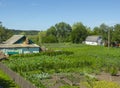 Traditional ukrainian dacha