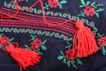 Traditional ukrainian embroidery